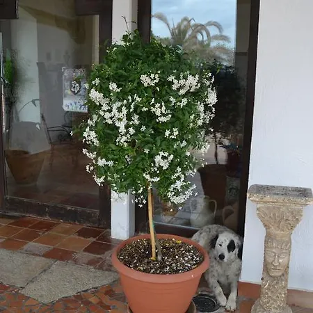 Alloggio per agriturismo Tenuta Leone Canosa di Puglia