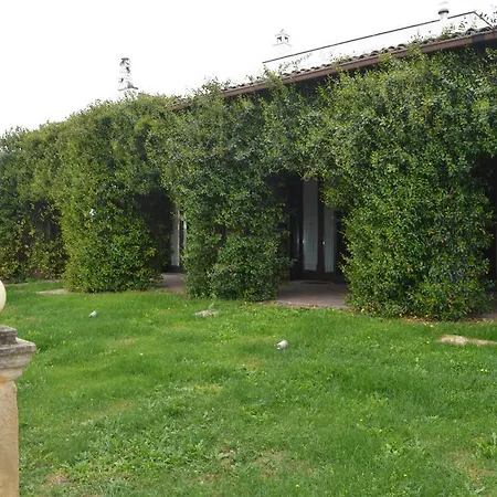 Tenuta Leone *