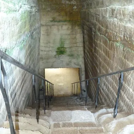 Tenuta Leone