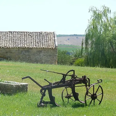 Tenuta Leone